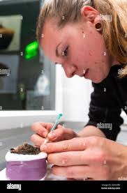 Lisa Renken's Instagram, Twitter & Facebook