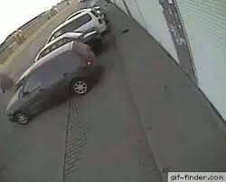 Lucky Day Find And Share Funny Animated Gifs Funny Photoshop Funny Gif Funny Pictures