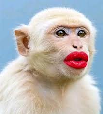 Is artcanvassociety.com a legitimate website?