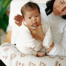 10 Best Nursing Pillows For 2021 Breastfeeding Pillows For New Moms