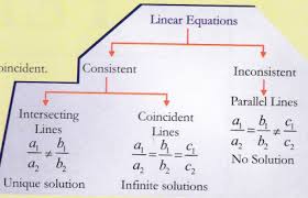 Ncert Class 10 Maths Lab Manual Linear Equations Cbse Tuts