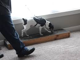 We are building a useful resource of the most reliable and professional pest controllers in norfolk. Home