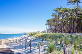 Check spelling or type a new query. Restaurants A La Dune Du Pilat Nos Meilleures Adresses