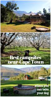 Best Dog Friendly Campsites In Western Cape South Africa Travel Africa Travel Hiking Trip