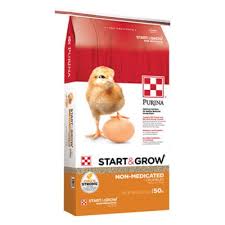 Purina ® game bird breeder layena ® feed is specifically designed to meet the special dietary requirements of breeder hens. Purina Start And Grow Starter And Grower Non Medicated Laying Chick Feed Crumbles 50 Lbs 57259 At Tractor Supply Co