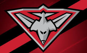 Cuidará a tu mascota como si fuera suyo: 14 Essendon Football Club Wallpapers On Wallpapersafari