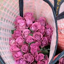 Jet fresh flowers is amazing! Jet Fresh Flower Distributors Piacere Roses From Jet Fresh Flower Growers Facebook