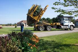 Why it matters to be brutal in root pruning. The Benefits Of Root Pruning Maney Tree Moving Services