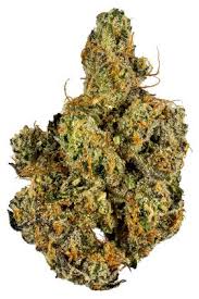 Badazz cookies og by seedsman strain information. Garlic Cookies Strain Hybrid Cannabis Review Thc Terpenes Hytiva