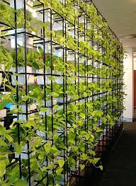 pin de caro ruiz en vertical gardens cuartos de plantas divisores de jardin jardines verticales