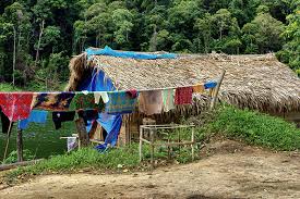 Today they are among the poorest and most disadvantaged category of malaysian citizens. Ein Echter Malaysia Geheimtipp Der Belum Rainforest