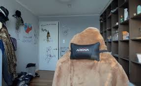 Buat Zoom Virtual Bacground Haha Di 2020 Ide Dekorasi Kamar Inspirasi Ide Dekorasi