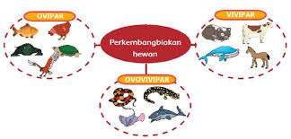 Jul 29, 2021 · buku tematik kunci jawaban tema 1 kelas 3 sd halaman 93 94 95 96 subtema 2 pembelajaran 6, cara berdoa inilah soal dan jawaban di buku tematik kelas iii sd/mi tema 1. Kunci Jawaban Tema 1 Kelas 6 Halaman 89 Dan 90 Pembelajaran 3 Subtema 2 Hewan Sahabatku