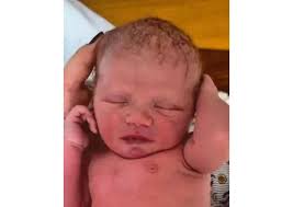 Weslee Swank Obituary (2026)