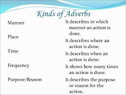 Наречия места where (adverbs of place) наречия образа действия how (adverbs of manner) the professor explained the theory three times and extremely patiently => профессор. Adverbs Ppt Video Online Download