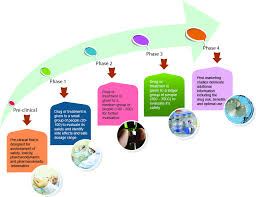 Clinical Trial Process Clinical Trials Healthcare Innovation Nursing Research