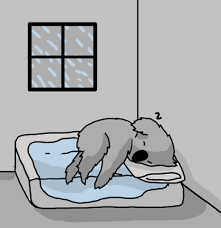Download 50 Best Good Night Gif Images For Whatsapp Kuch Khas Tech 4 cute nighty night meme. good night gif images for whatsapp