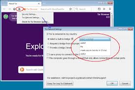 Becoming a tor relay is slightly more difficult than it used to be. Dissecting Tor Bridges And Pluggable Transport Part I Finding The Built In Tor Bridges And How Tor Browser Works