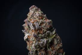 This marijuana strain contains terpenes such as myrcene, terpineol, ocimene, and phellandrene. Is White Runtz Better Than Pink Runtz 420dc Com Dc S Local Cannabis Directory