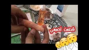 يعمل جهاز تكبير الذكر عن طريق تطبيق مبدأ الشد لتحفيز نمو أنسجة جديدة عن طريق إجبار الخلايا داخل القضيب على الانفصال أكثر. ÙƒÙŠÙ ØªØµÙ†Ø¹ Ù‚Ø·ÙŠØ¨ ÙÙŠ Ø§Ù„Ø¨ÙŠØª Mp3
