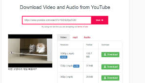 You can use an online free tool to download youtube playlist. Safe Youtube Downloaders In 2021 Grab Youtube Videos Offline At Ease