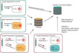 Pronunciation of vaccination skåne with and more for vaccination skåne. Validation Of The New Swedish Vaccination Register Accuracy And Completeness Of Register Data Sciencedirect