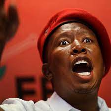 Available for download in high resolution. In Quotes Malema On Sa S Imaginary Gates Vaccines And Eskom