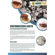 Diatomaceous earth kills all bugs. Diatomaceous Earth De Powder For Bio Pest Control 500gm Pus Free Gift Shopee Malaysia