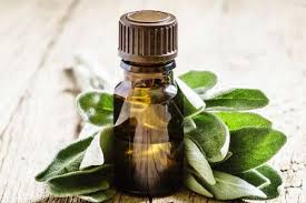 Così come il precedente, l'olio di salvia sclarea è utile in caso di dolori dovuti al ciclo mestruale o alla menopausa. Salvia Tutte Le Proprieta Olio Essenziale E Salute