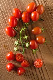 Image result for tomato Datterino