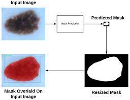 Depending on the image peculiarities and features generated pest detection models use the weights from another model checkpoint in order to speed up the training process. Mask R Cnn With Opencv Pyimagesearch