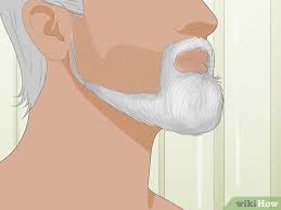 The best foods are rich in calcium, iron, zinc, protein, and magnesium. 3 Ways To Grow Facial Hair Fast Wikihow