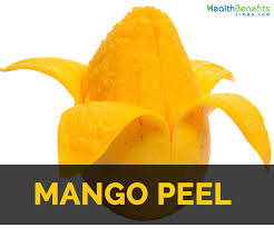 Mangoes are objectively one of the best fruits in the world (see you in the comments), but they can be notoriously difficult to peel, due to how for the uninitiated, it involves peeling the entire mango save for a couple of circles, slicing the mango using the small circles as a grip, and shaving the last bit off. Mango Peel Facts And Health Benefits