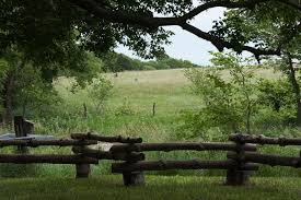 Image result for Federal Yellow 1988 Western Industrial Finishes