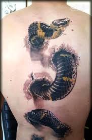 Maybe you would like to learn more about one of these? 38 Realistic Snake Tattoos