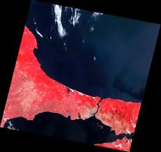 Amerikan ulusal havacılık ve uzay dairesi (nasa), instagram hesabından i̇stanbul'a ait bir uydu görüntüsü paylaştı. Istanbul Turkey