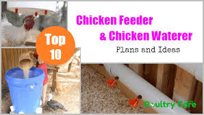 Go on the next step to see improved version with full instruction. 10 Diy Chicken Feeder And Waterer Plans And Ideas Poultry Care Sunday