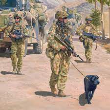 Looking for accommodation next to uni? Military Shop