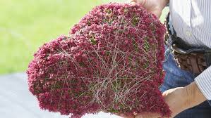 Herz Gesteck Basteln Oktoberfest Deko Blumen Muttertag Geschenke Basteln Grabschmuck Allerheiligen