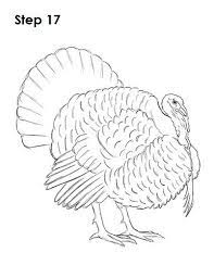 Rachel barrett created the detailed turkey line drawing design as part of our thanksgiving clipart collection. Draw A Turkey 17 Turkey Drawing Drawings Animal Sketches