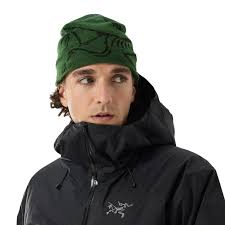 ARC'TERYX Bird Head Toque /eden black 2024-2025 WINTER HATS ARCTERYX