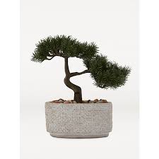 We did not find results for: Artificial Bonsai Tree In Natural Cement Pot 26cm Home George At Asda