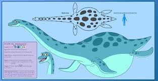 Its depiction in king kong, possessing an elongated tail significantly longer than its neck. Eliza The Elasmosaurus Reference Sheet By Horseren Fur Affinity Dot Net