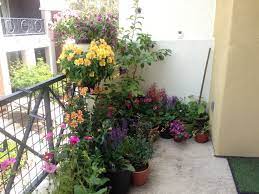 Butterfly Garden Balcony Garden Butterfly Garden Garden
