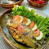 Ikan mas atau ikan karper (cyprinus carpio) adalah ikan air tawar yang memiliki nilai ekonomis penting dan sudah tersebar luas di indonesia. 1