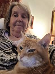 Fascinating 🐾🐈😻❤️