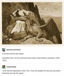 Pin By Cutieplushtrap On School In 2020 Art Memes Pet Dragon Tumblr Funny