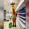Toys r us' poor holiday season quickly morphed into an existential catastrophe. 1