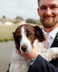 Profile for The Stone Trough Inn