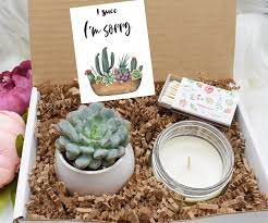 Here are the top 9 sorry gifts from which you can choose one, for your personal apology, 1. I Succ I M Sorry Succulent Apology Gift Box Sunshine Etsy